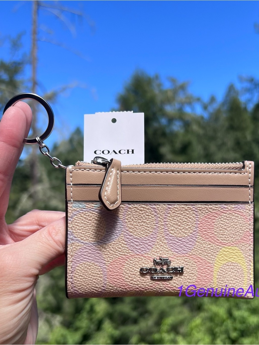 COACH Mini Skinny ID Case Cardholder Keychain Wallet Signature Rainbow Print NWT